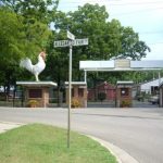 Allegan County Fair begins this Friday