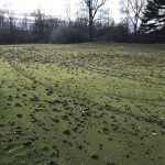 Lake Doster Golf Club suffers $100,000 in damage