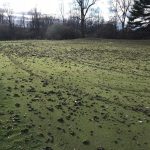 Arrests made in connection to damage at golf course