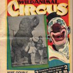 Postcard from the Pines: When the circus came to town