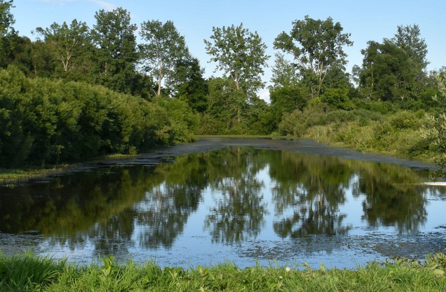 Man drowns in Bangor Twp pond