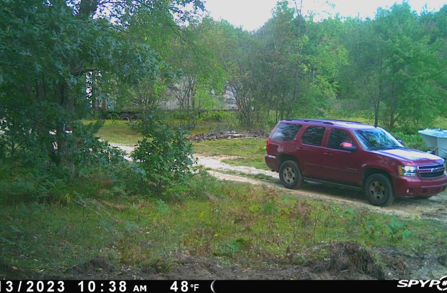 Missaukee deputies looking for vehicle