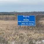 Wildlife Restoration Project Underway north of Marion