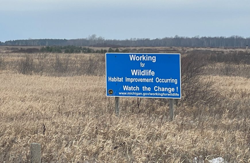 Wildlife Restoration Project Underway north of Marion