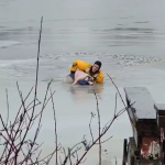 TR firefighters rescue dog from icy water